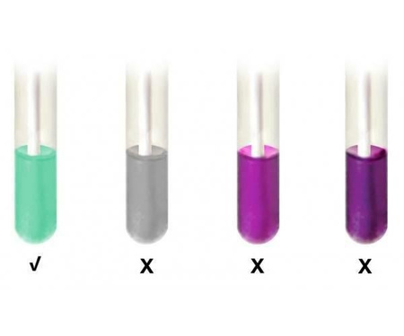 ProClean TEST – Zestaw do wykrywania pozostałości białek na narzędziach medycznych, 25 testów, HYGIENA LLC